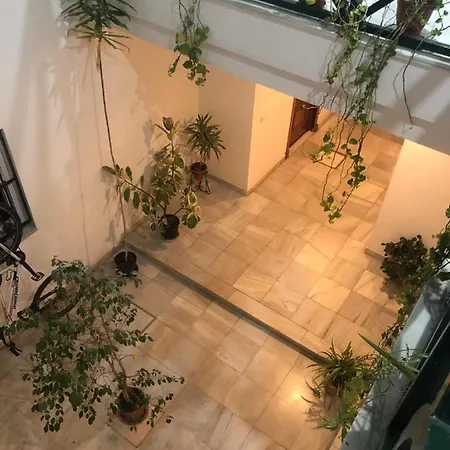 شقة Magnifico Apartamento En El Centro Historico De Jerez